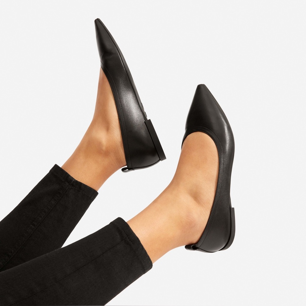 Everlane Black Pointed Toe Flats